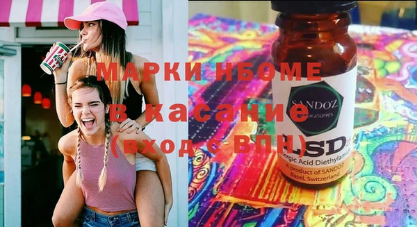 гидра Щигры