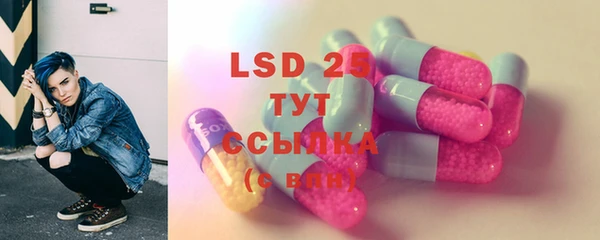 эйфоретик Гусь-Хрустальный