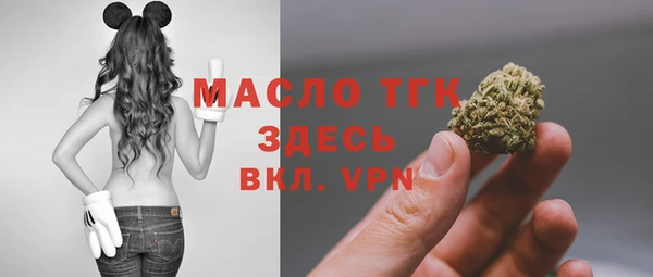 эйфоретик Гусь-Хрустальный