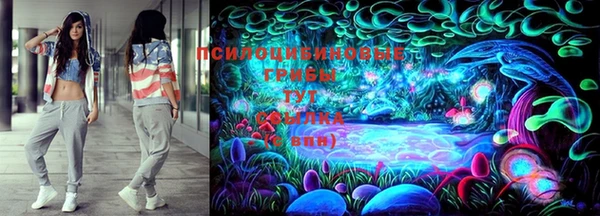 эйфоретик Гусь-Хрустальный