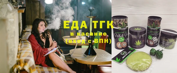 эйфоретик Гусь-Хрустальный