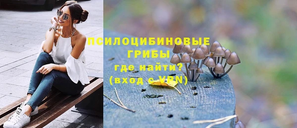 герыч Няндома