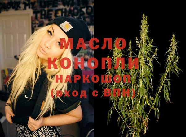 эйфоретик Гусь-Хрустальный